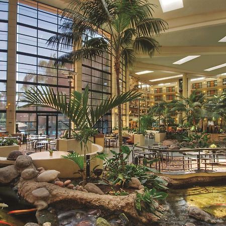 Embassy Suites By Hilton Phoenix Biltmore Экстерьер фото